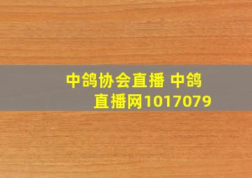 中鸽协会直播 中鸽直播网1017079